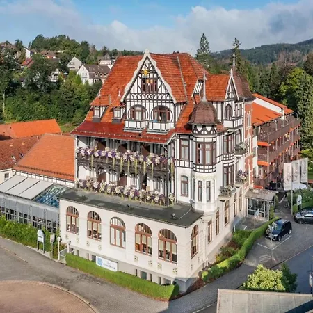Blockhaus Bad Sachsa Casa vacanze